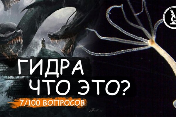 Https kraken at